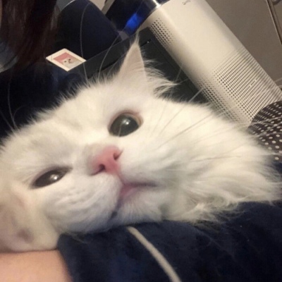 爱诗科技获中国儒意亿元战略投资，达成深度战略合作